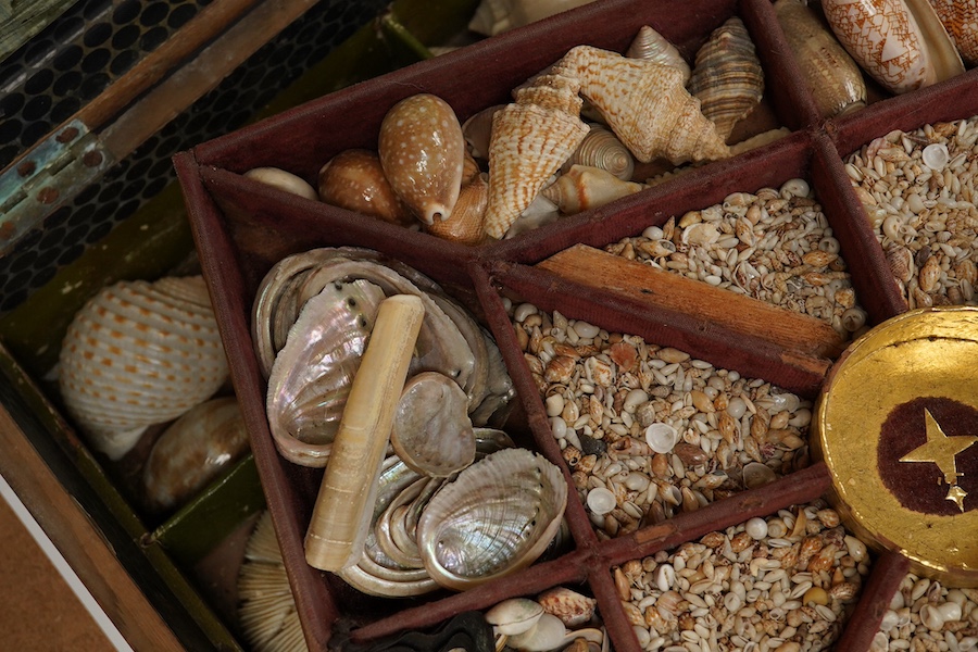 A rare 19th century mariner's box of shells, the mahogany box with cross banding and marquetry lid in the form of a compass, containing a collection of shells and mineral samples on two layers, with lift out tray, dimens